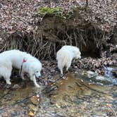 Review photo of Sweetwater Creek State Park Campground by Garrett G., January 11, 2019