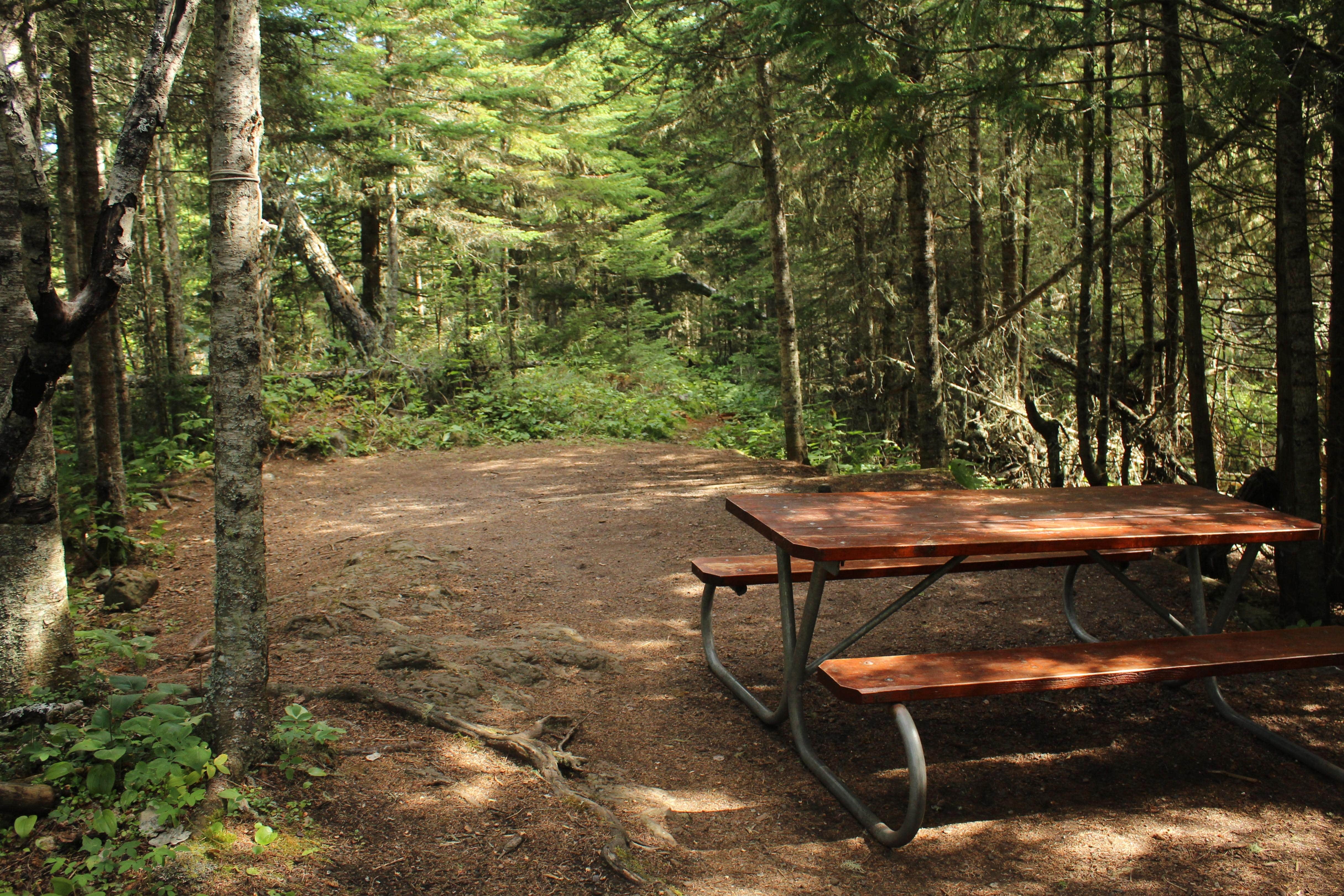 Camper submitted image from Rock Harbor Campground — Isle Royale National Park - 3