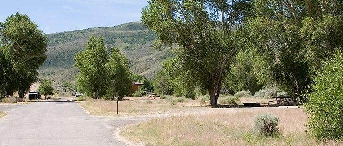 Camper submitted image from Cimarron Campground - 2