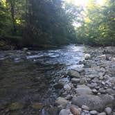 Review photo of Elkmont Group Campground — Great Smoky Mountains National Park by Scott M., January 11, 2019