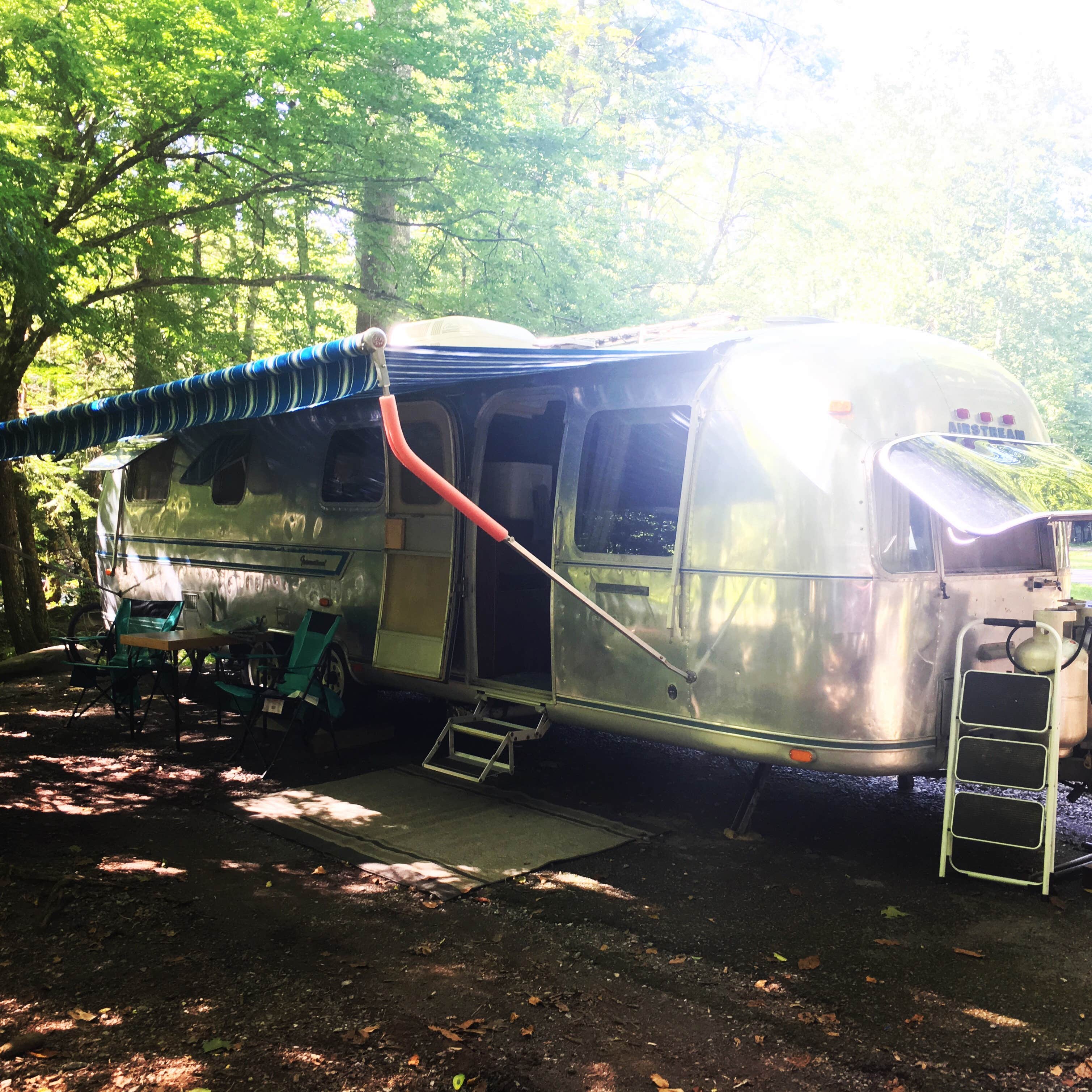 Camper submitted image from Elkmont Group Campground — Great Smoky Mountains National Park - 4