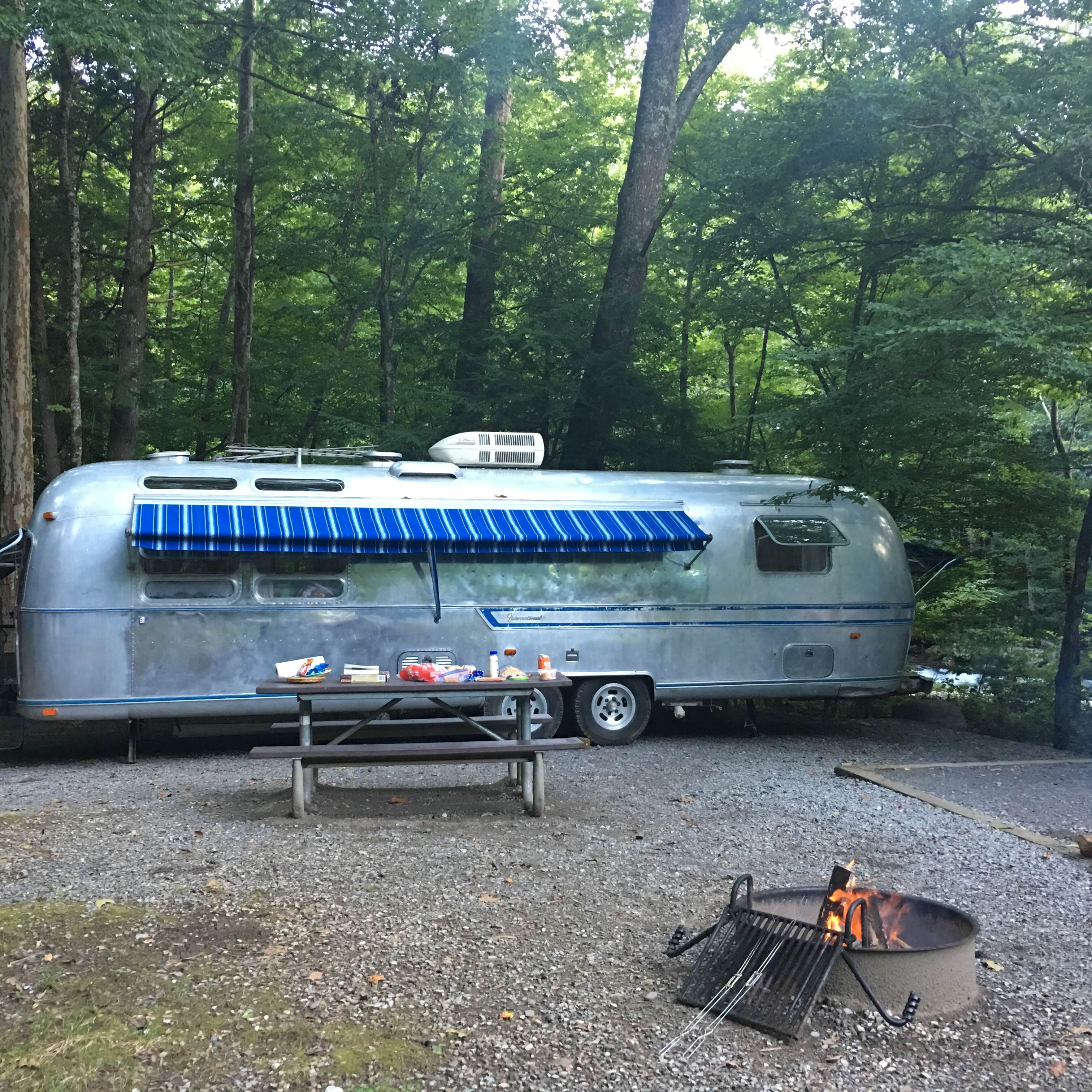 Camper submitted image from Elkmont Group Campground — Great Smoky Mountains National Park - 3