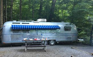 Scott M.'s photo at Elkmont Group Campground — Great Smoky Mountains National Park near Great Smoky Mountains National Park