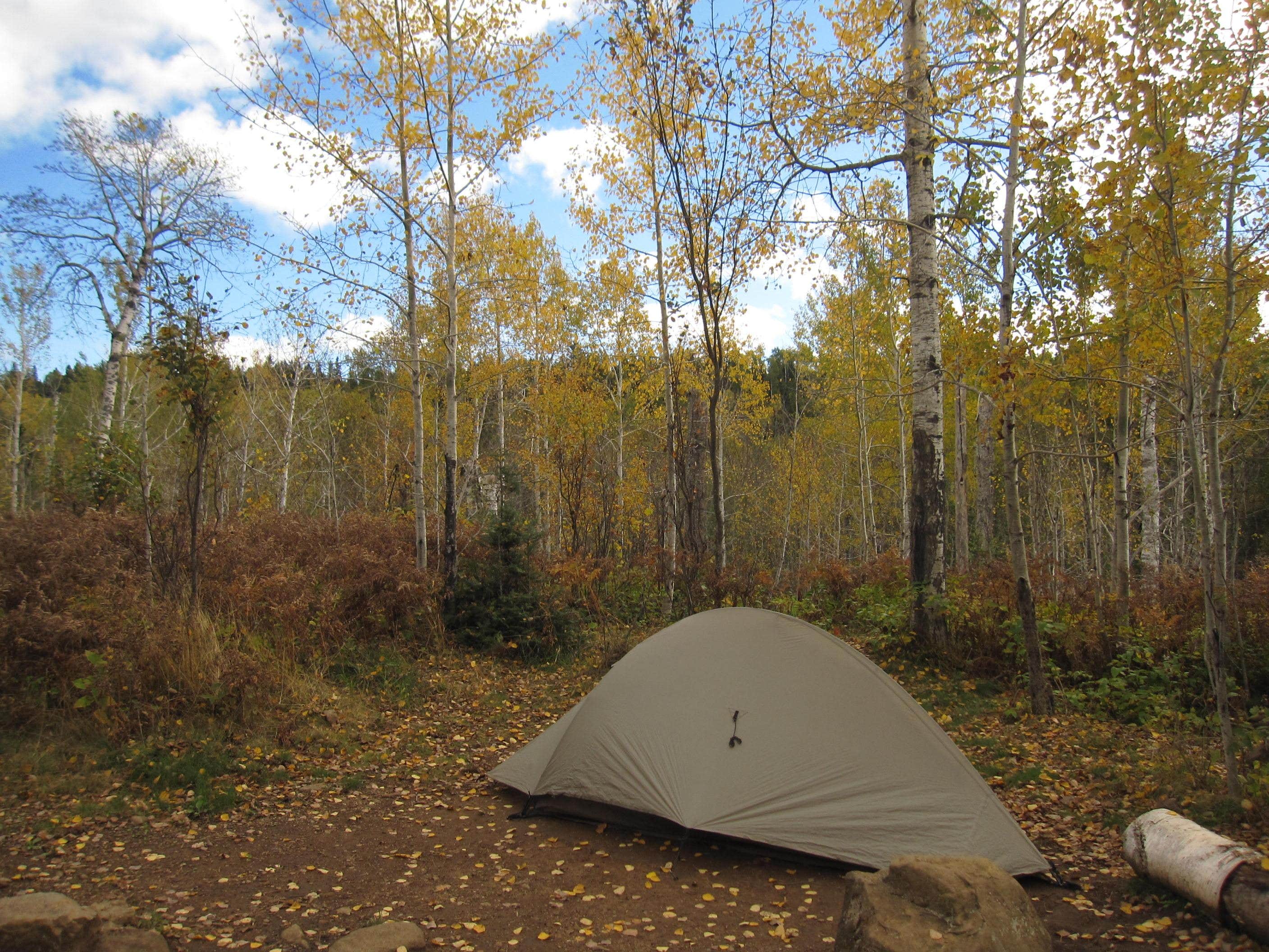 Camping near Malone Bay Campground — Isle Royale National Park: East Chickenbone Campground — Isle Royale National Park, Grand Portage, Michigan