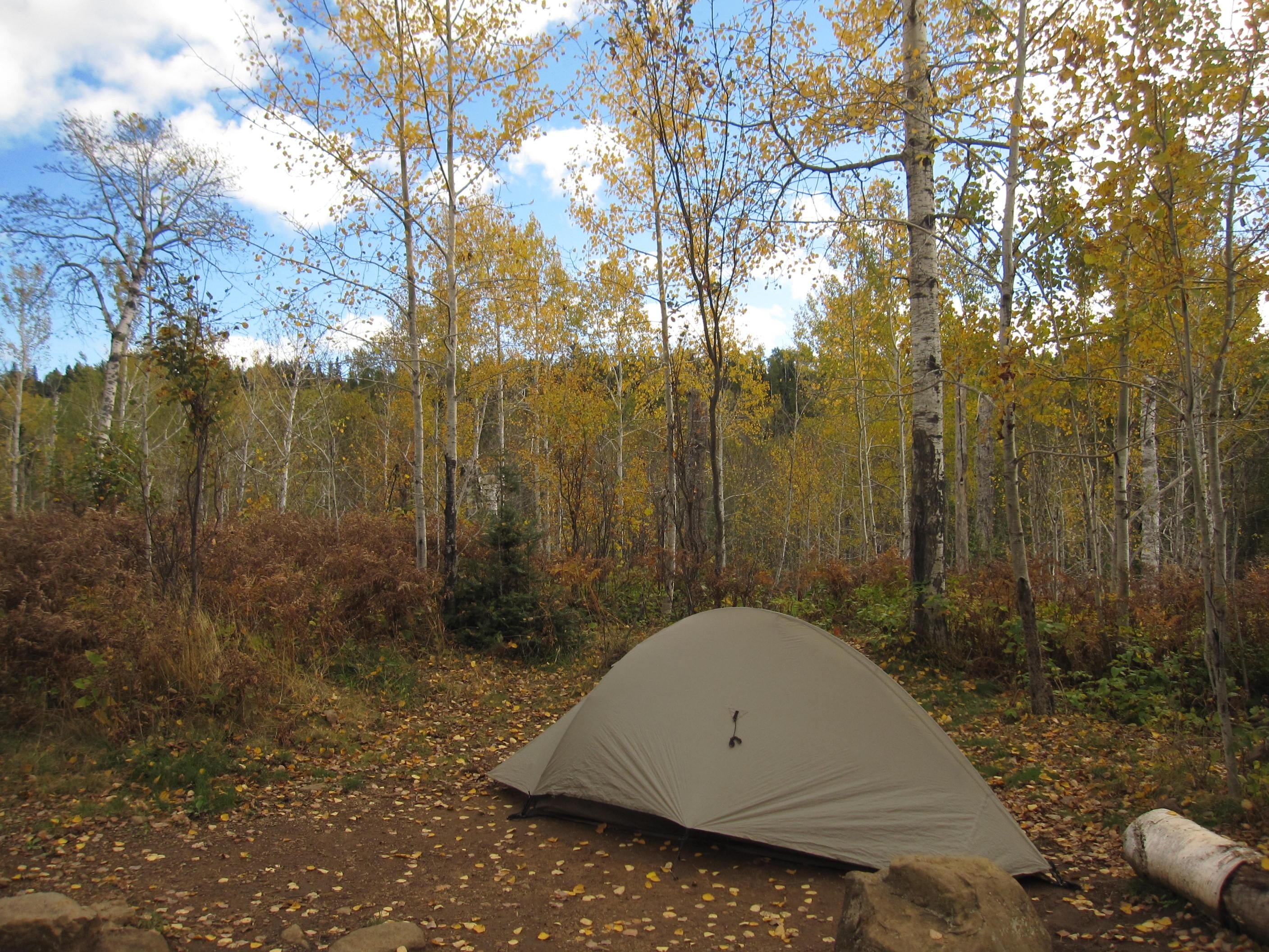 Camper submitted image from East Chickenbone Campground — Isle Royale National Park - 1