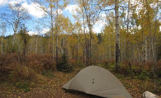 The Dyrt's photo at East Chickenbone Campground — Isle Royale National Park near Isle Royale National Park