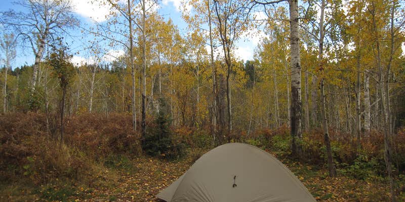 Camper submitted image from East Chickenbone Campground — Isle Royale National Park