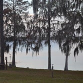 Review photo of Camp Blanding RV Park by Greg S., January 11, 2019