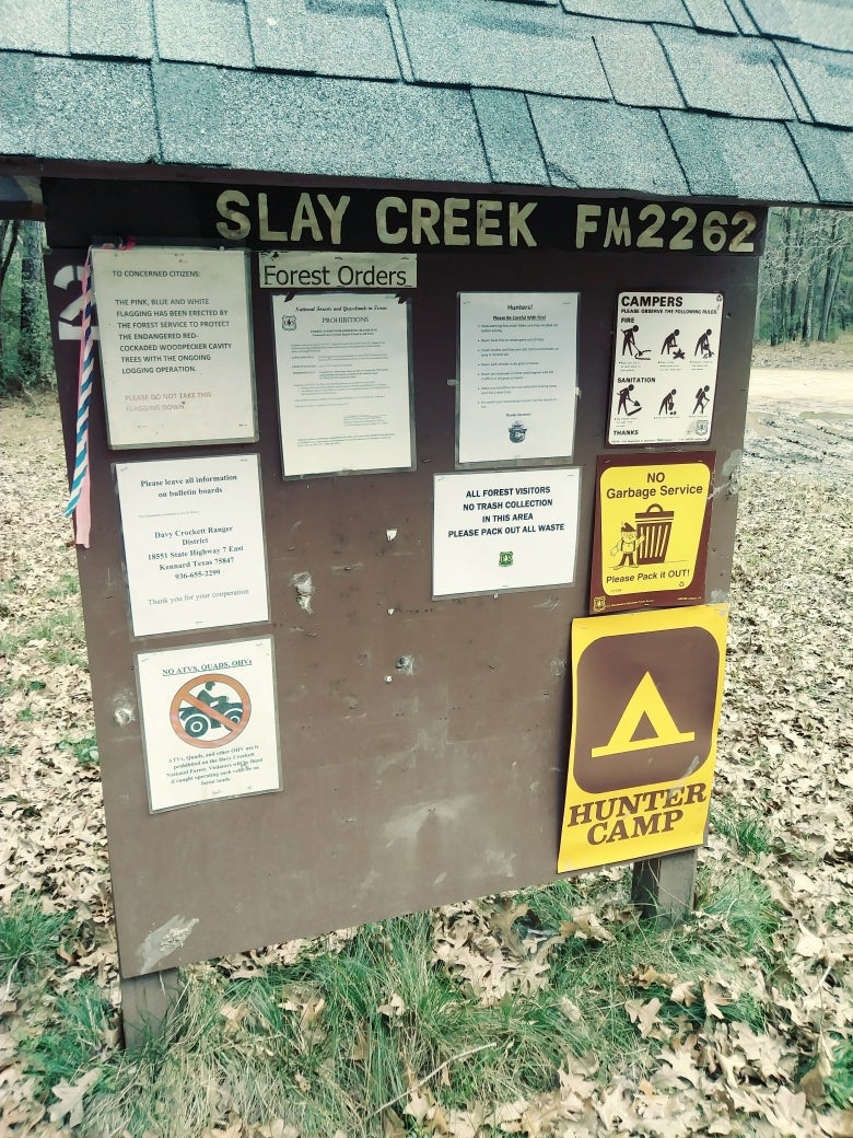 Camper submitted image from Slay Creek - 3