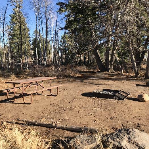 Lava Point Campground — Zion National Park