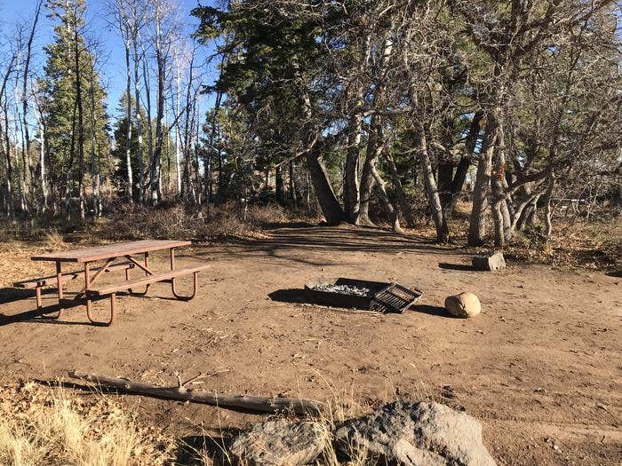 Camper submitted image from Lava Point Campground — Zion National Park - 1