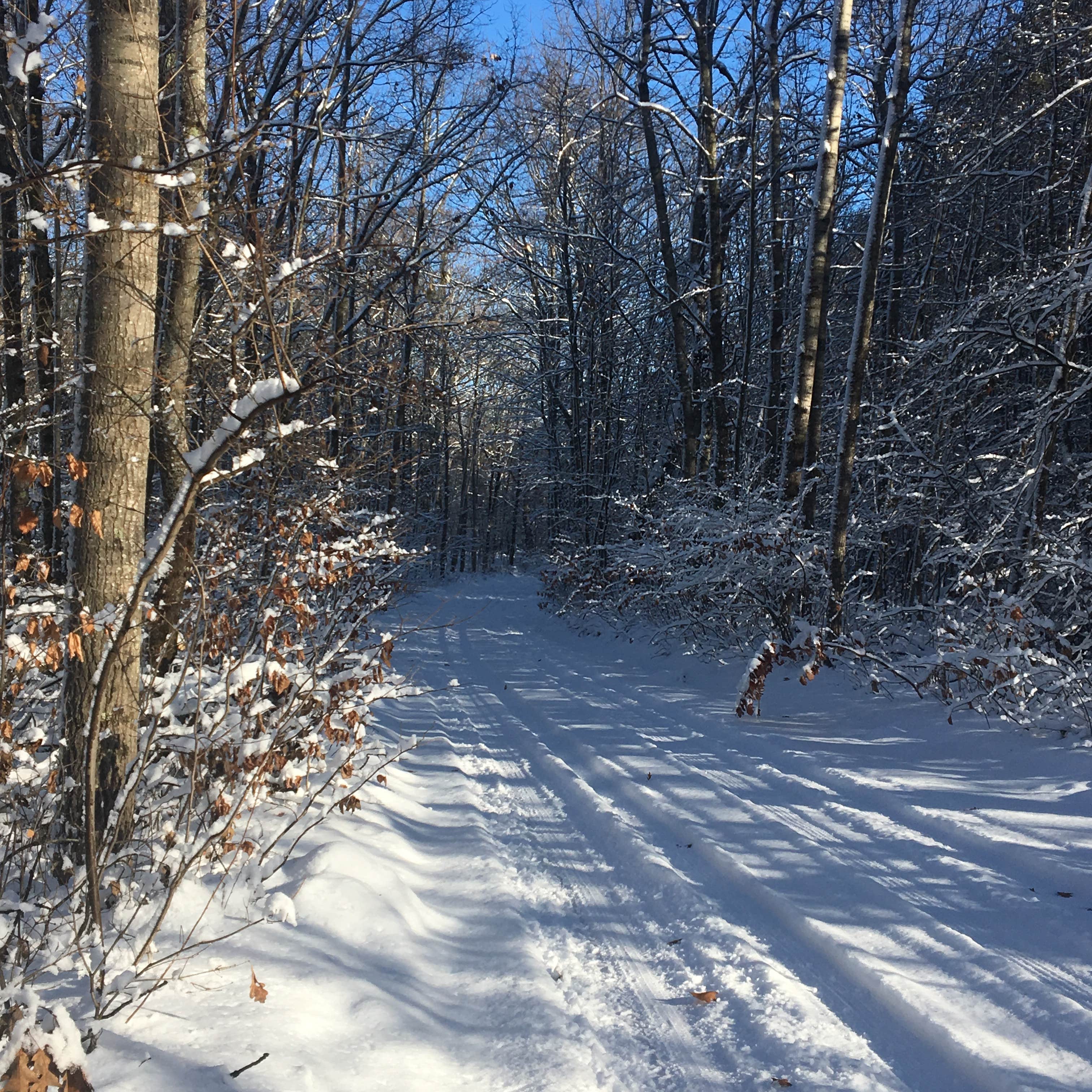 Escape to Serenity: Your Guide to Michigan's Sulak Campground