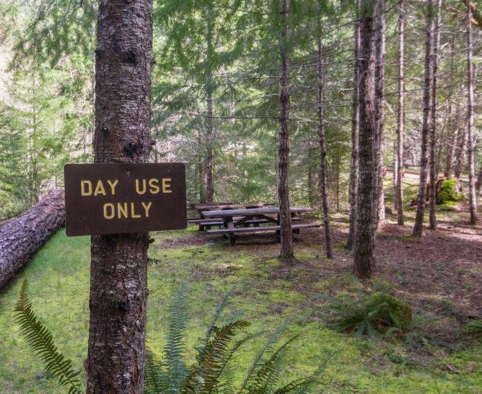 Camper-submitted photo at Cave Creek — Oregon Caves National Monument and Preserve near Wilderville, OR