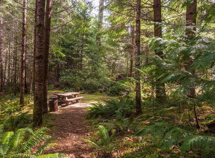 Camper-submitted photo at Cave Creek — Oregon Caves National Monument and Preserve near Wilderville, OR