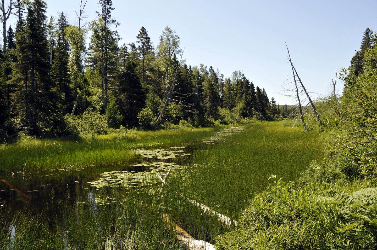 Camper-submitted photo at West Chickenbone Campground — Isle Royale National Park near Isle Royale National Park