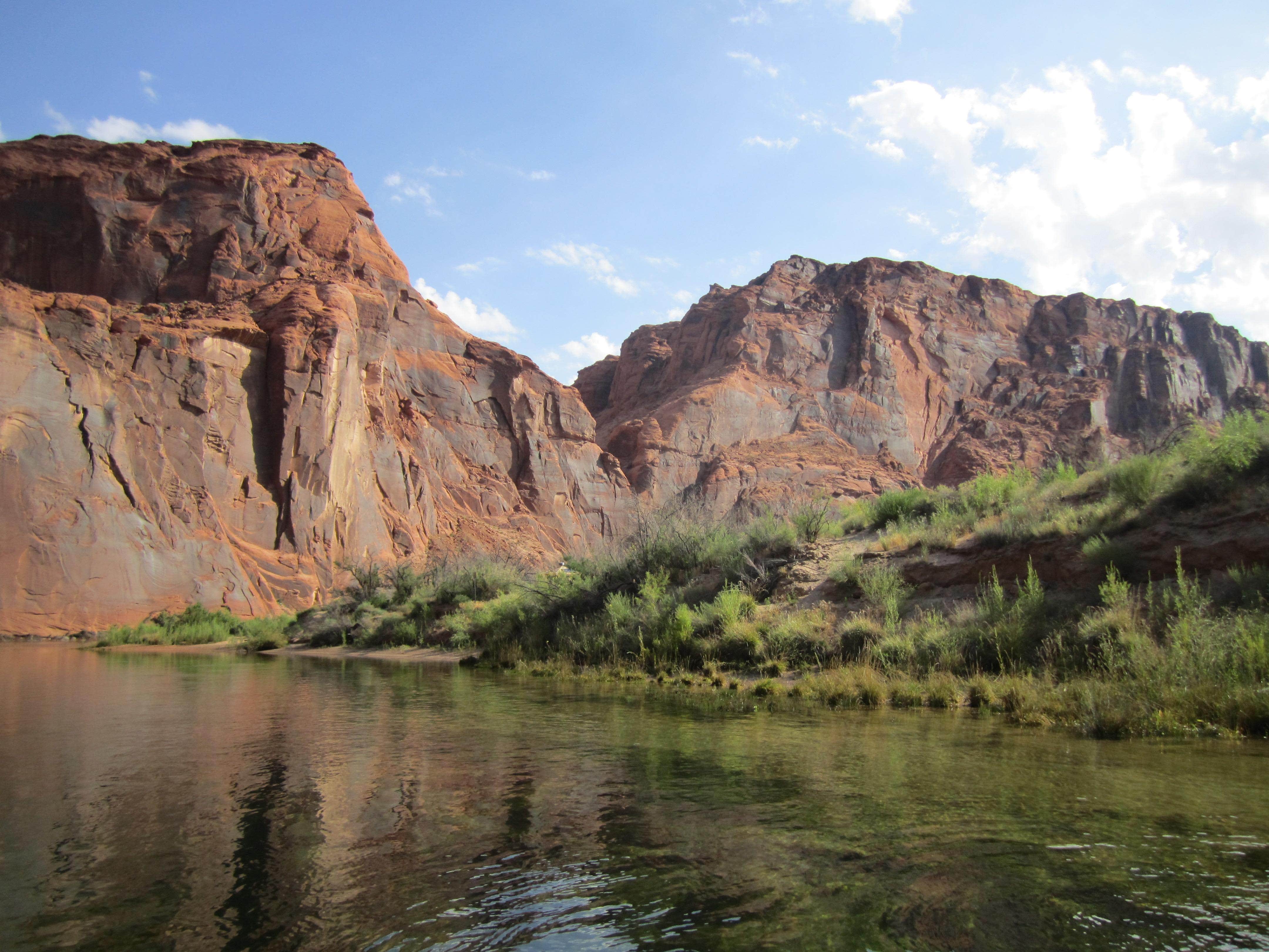 Camper submitted image from Colorado River Primitive Camping Between Glen Canyon Dam and Lees Ferry — Glen Canyon National Recreation Area - 2