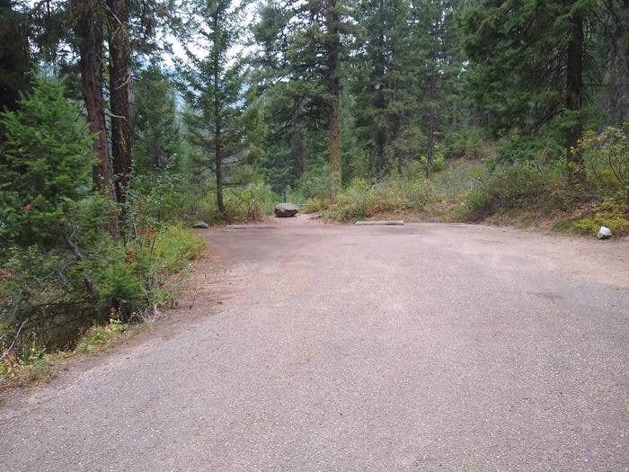 Camper submitted image from Boise National Forest Bad Bear Campground - 1