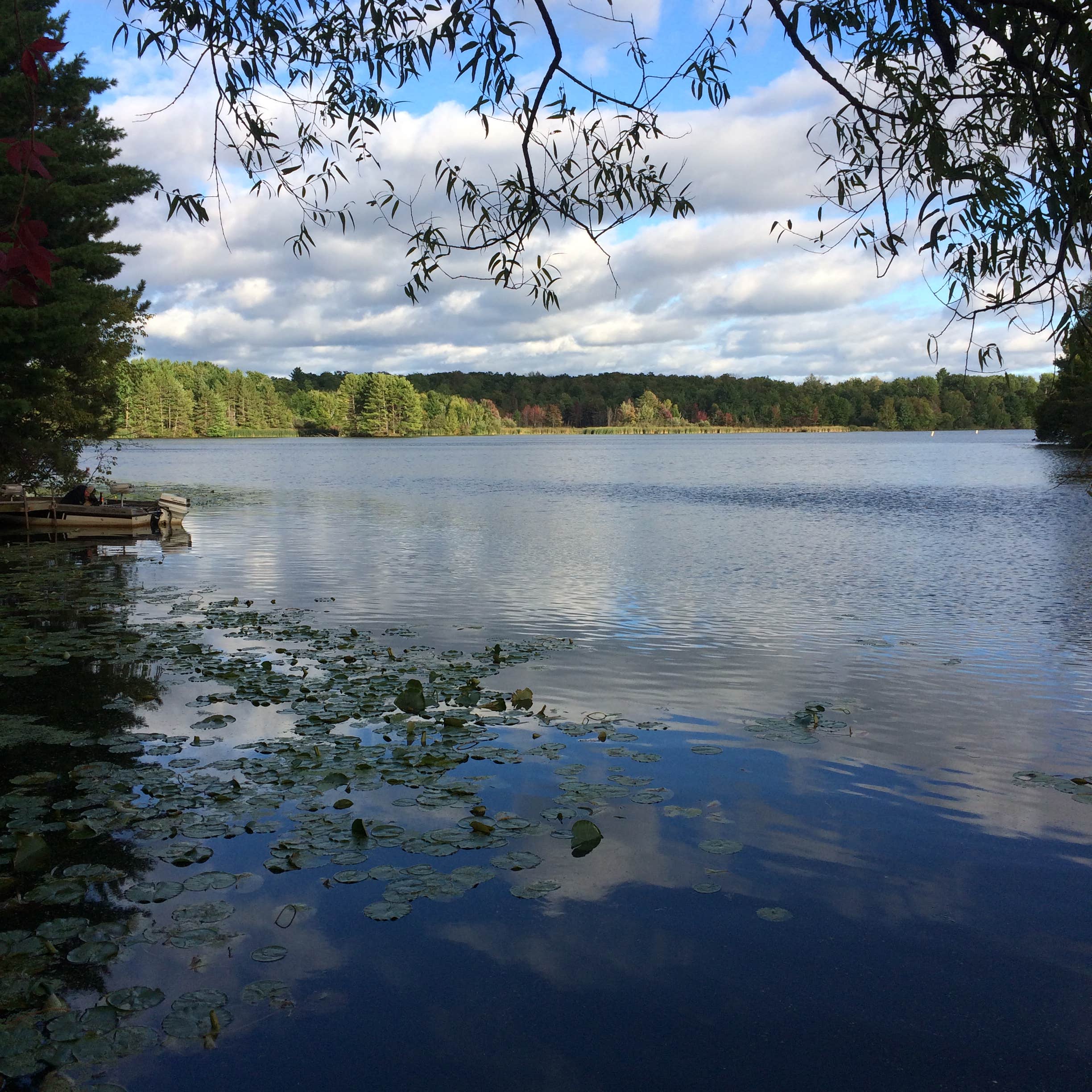 Camper-submitted photo at Otter Lake Chippewa County near Lublin, WI