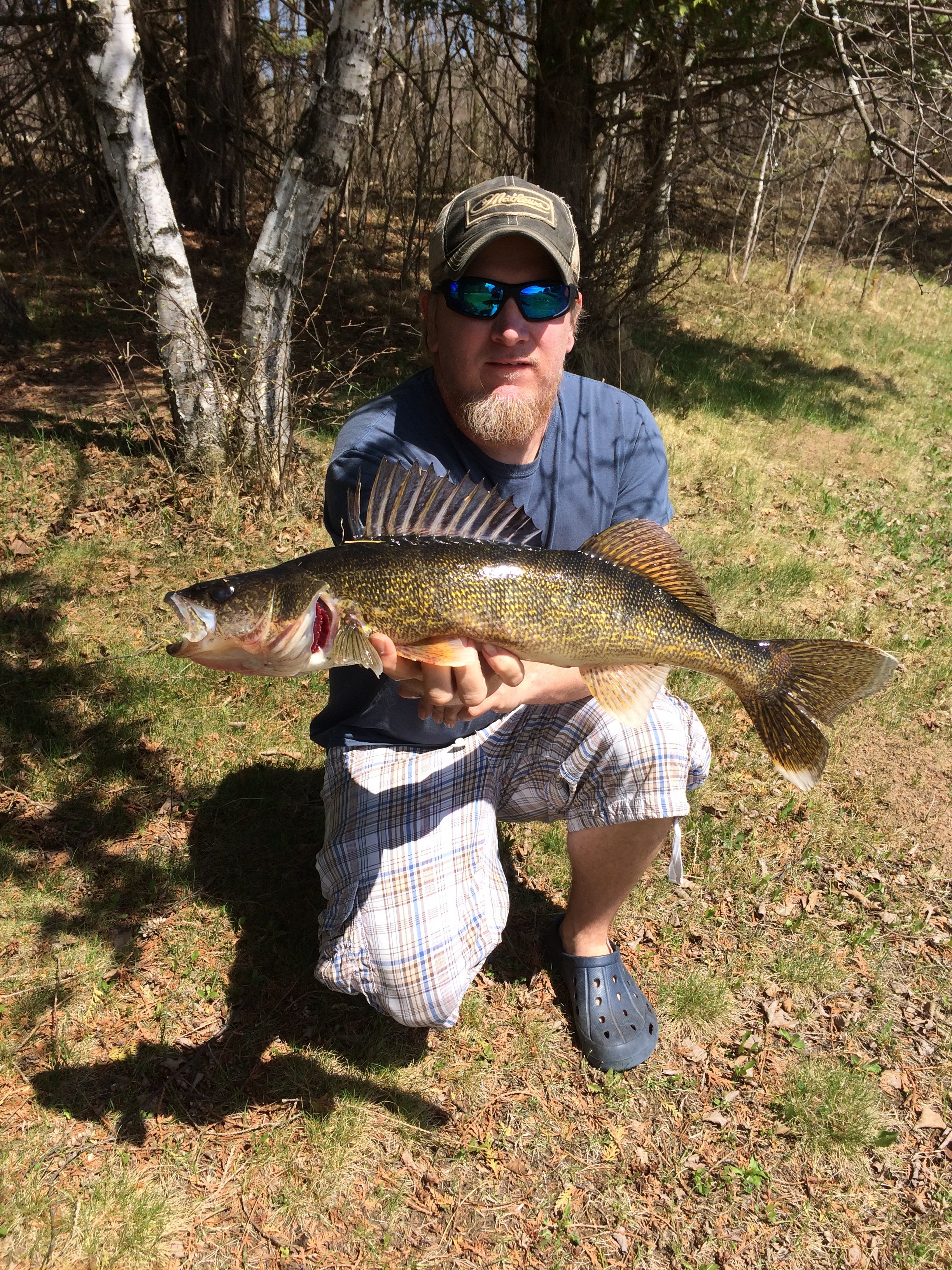 23”Walleye. Catch and release.