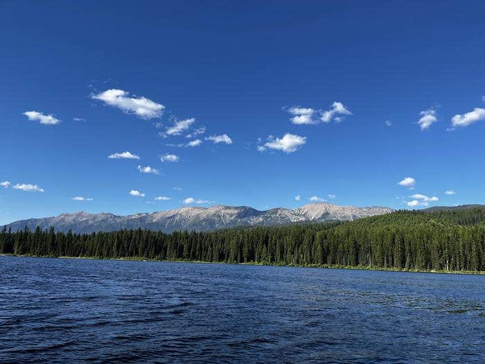 Camper submitted image from Lake Alva Campground - 4