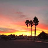 Review photo of Tucson - Lazydays KOA by Joel R., January 17, 2019