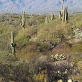 Review photo of Tucson - Lazydays KOA by Joel R., January 17, 2019