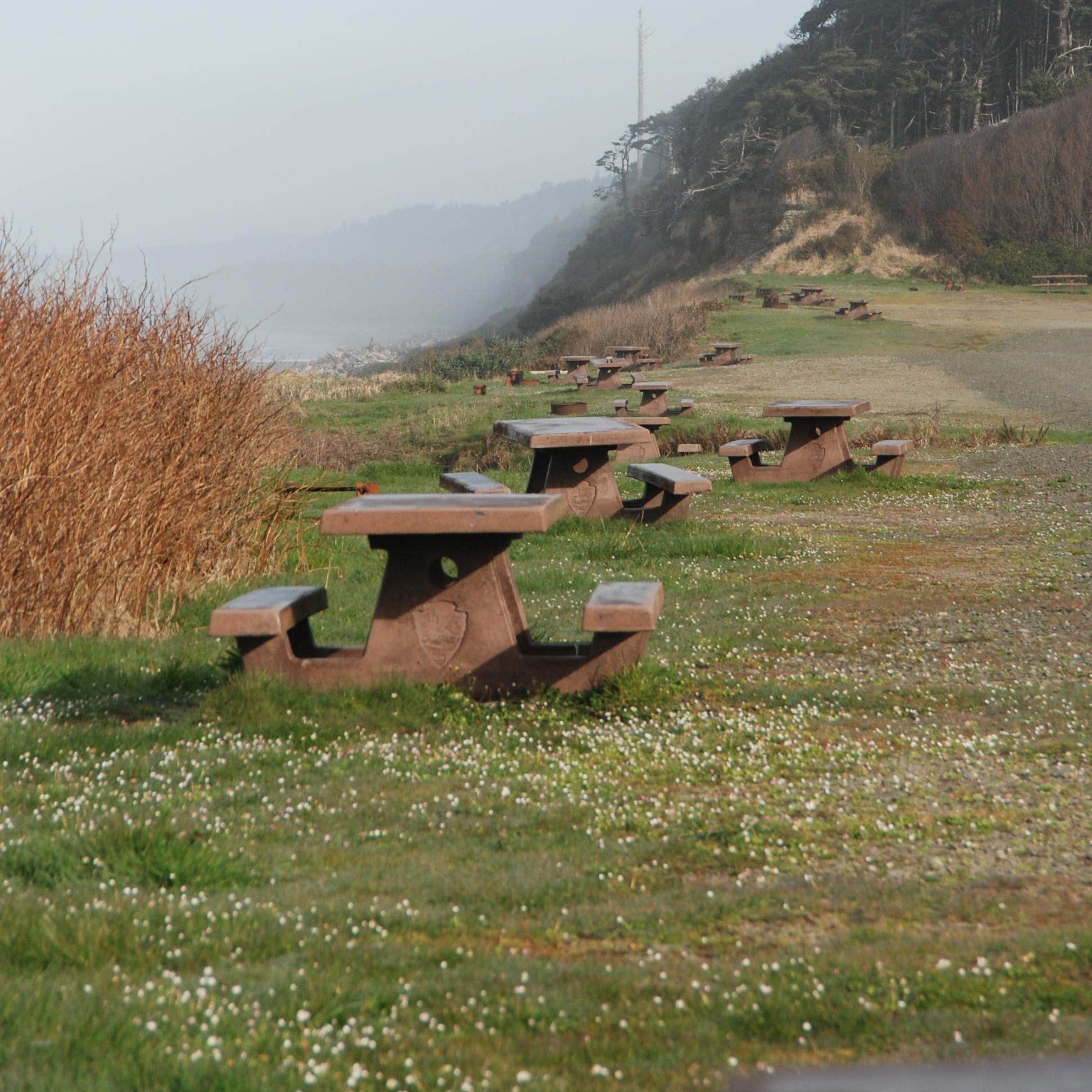 South Beach Campground — Olympic National Park
