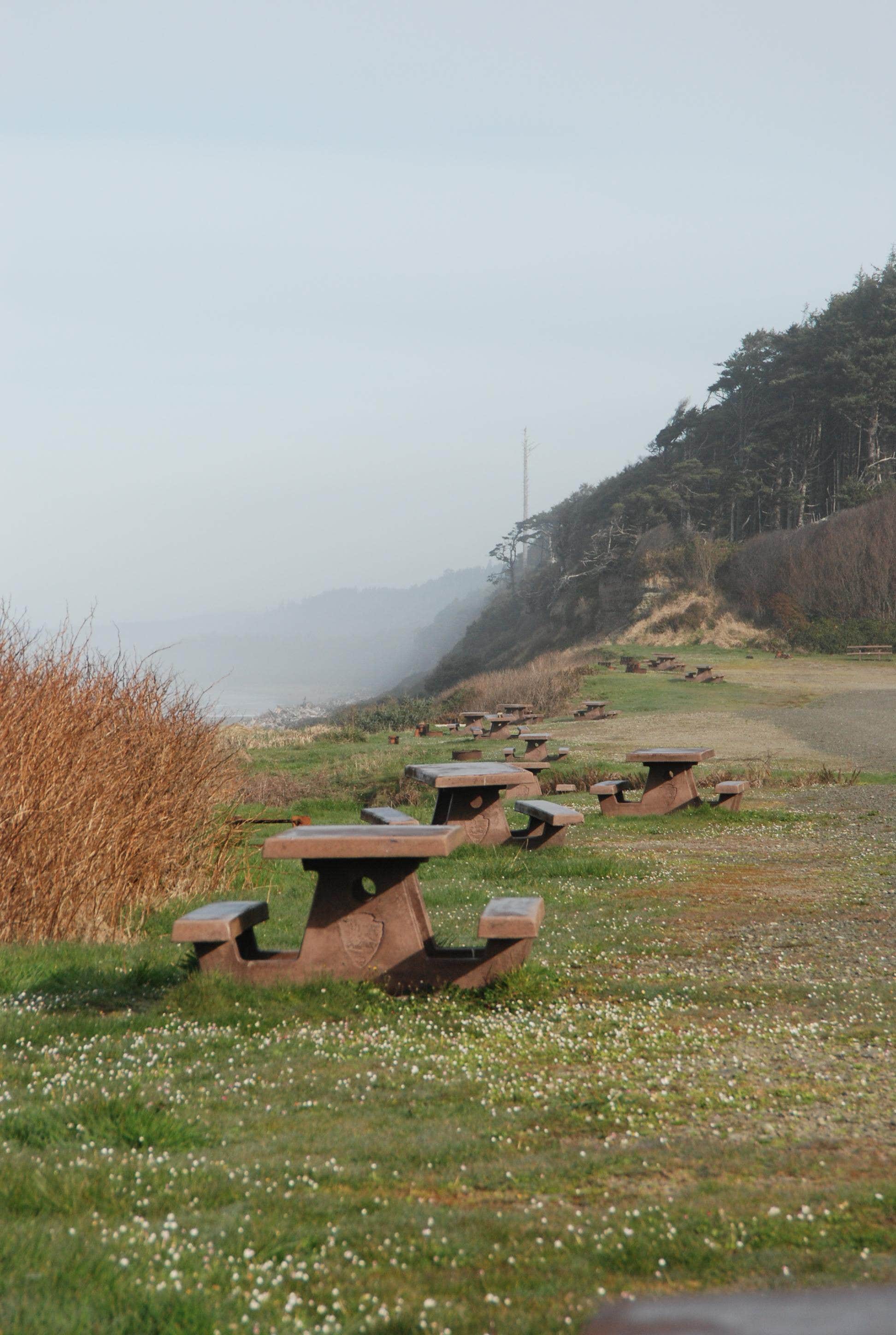 Camper submitted image from South Beach Campground — Olympic National Park - 1