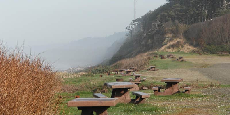 Camper submitted image from South Beach Campground — Olympic National Park