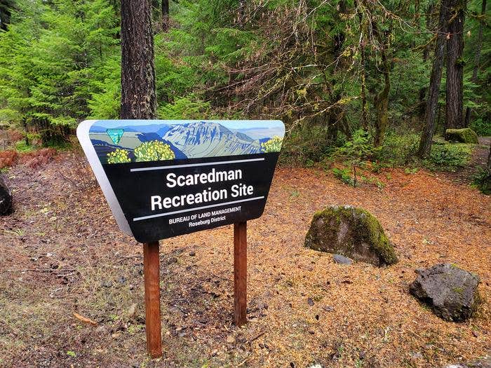 Camper submitted image from Scaredman Recreation Site — North Umpqua Wild And Scenic River - 2
