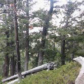 Review photo of McWilliams Campground by Sandy K., August 23, 2016