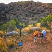 Review photo of Molino Basin Campground by Sara S., January 19, 2019