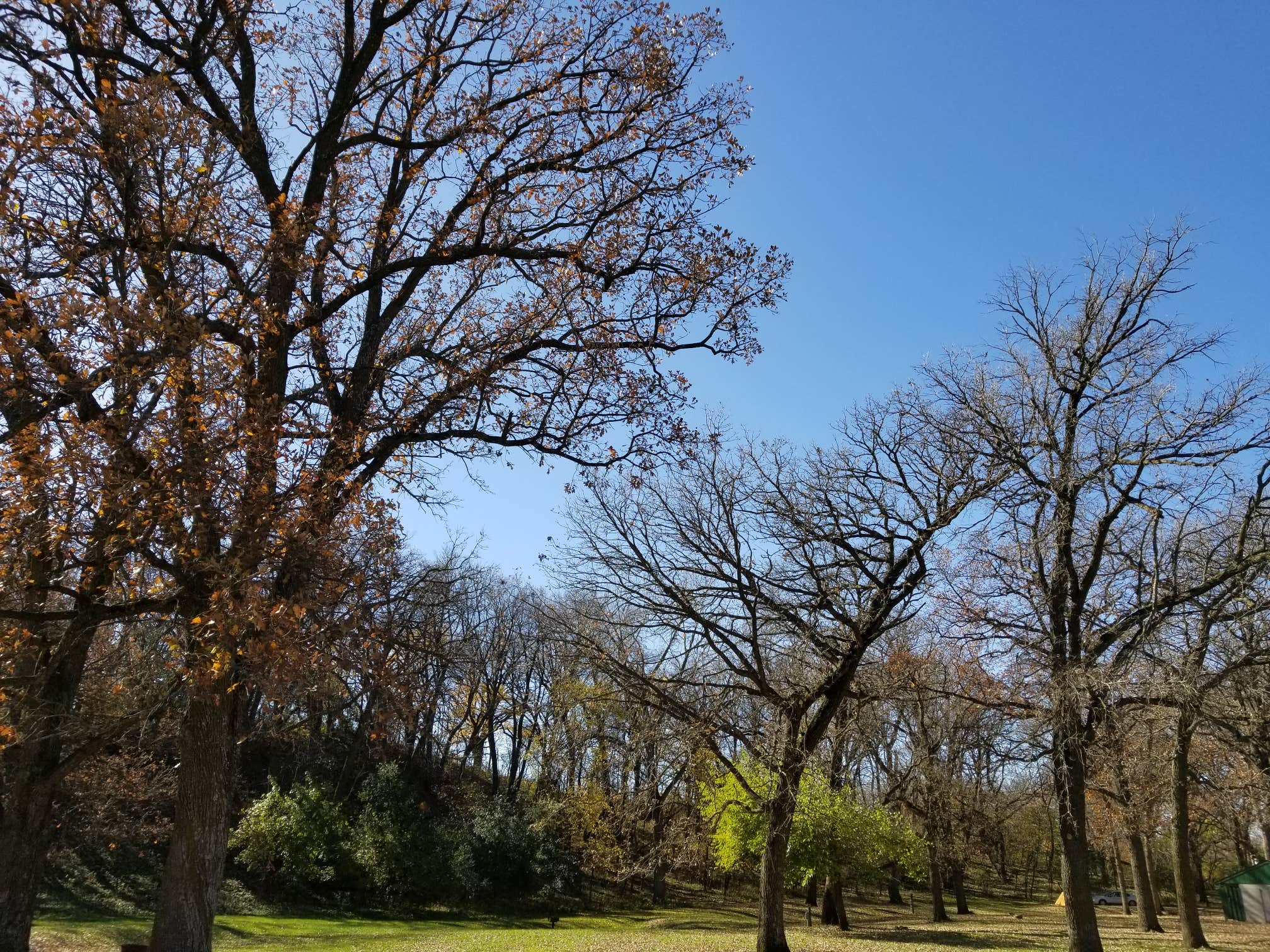Camper-submitted photo at South Dutch Charlie Creek near Currie, MN