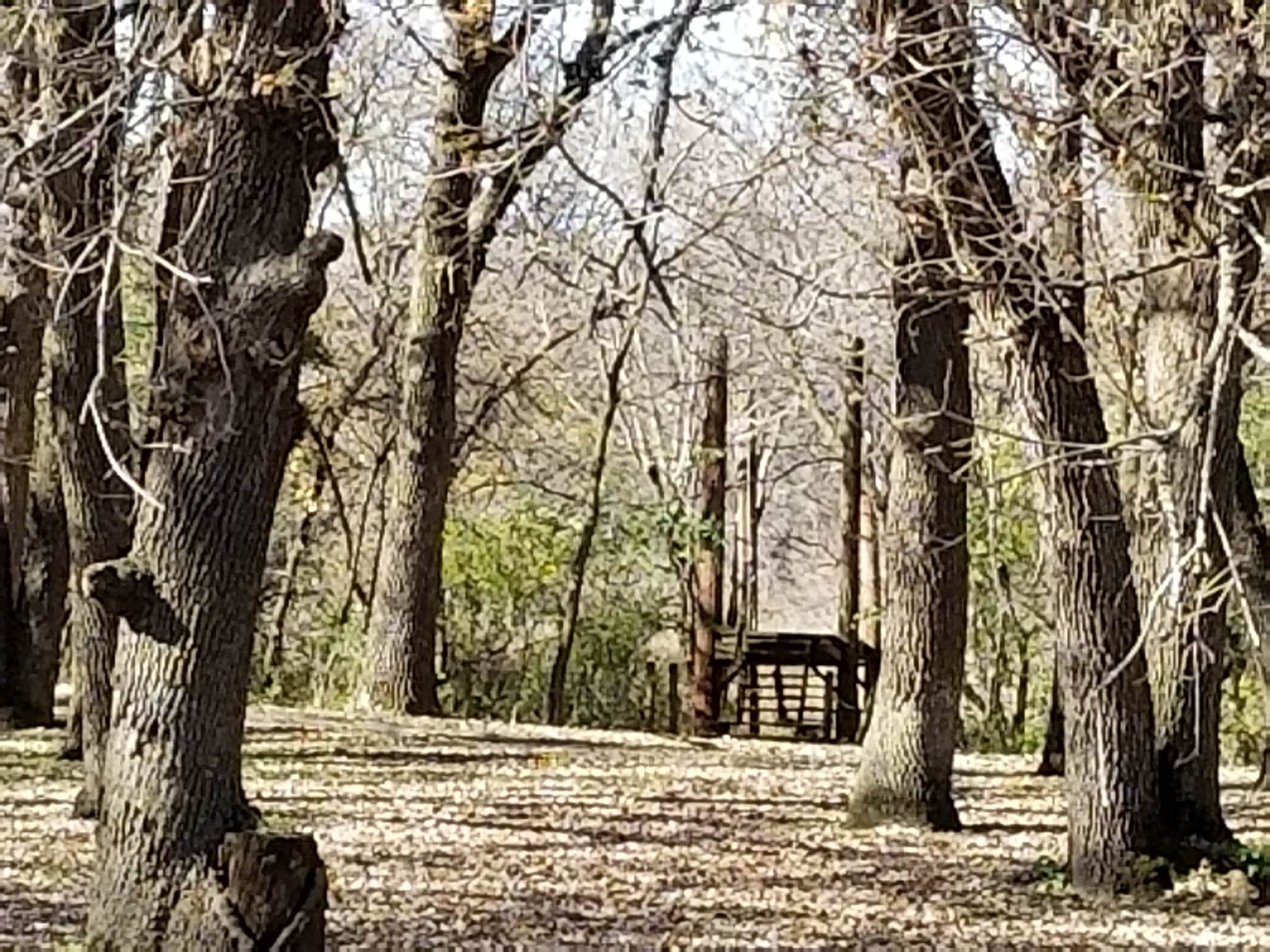 Camping near Oak Woods Campground — Lake Shetek State Park: South Dutch Charlie Creek, Currie, Minnesota