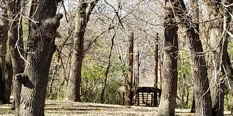 Camper submitted image from South Dutch Charlie Creek