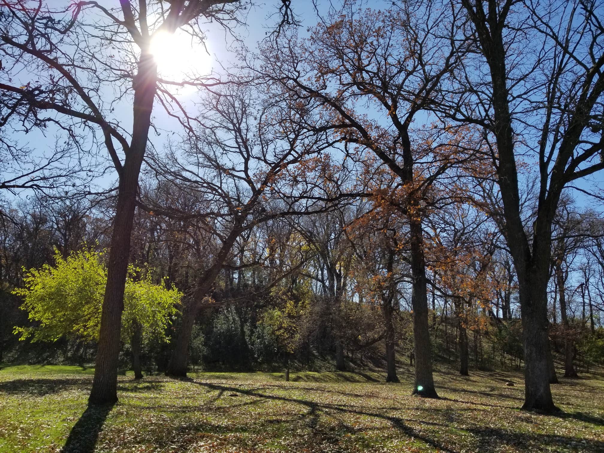 Camper-submitted photo at South Dutch Charlie Creek near Currie, MN