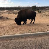 Review photo of South Prong Primitive Camping Area — Caprock Canyons State Park by Chris H., January 21, 2019