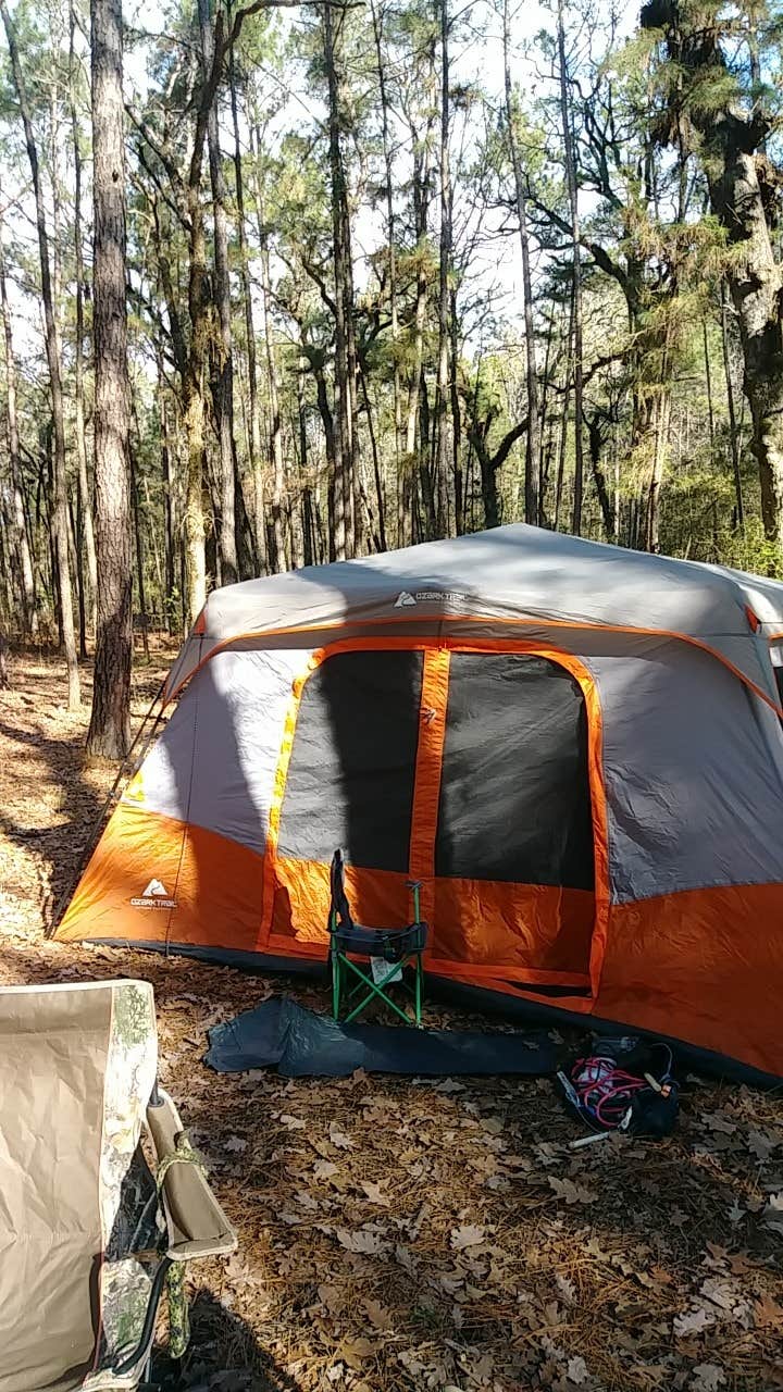 David T.'s photo at Slay Creek near Grapeland, TX