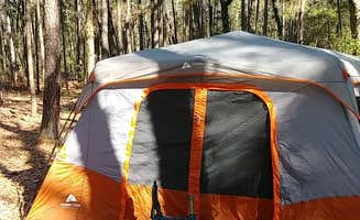 David T.'s photo at Slay Creek near National Forests and Grasslands in Texas