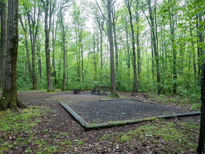 Camper submitted image from Blueberry Patch Campground — Green Mountain & Finger Lakes National Forests - 1