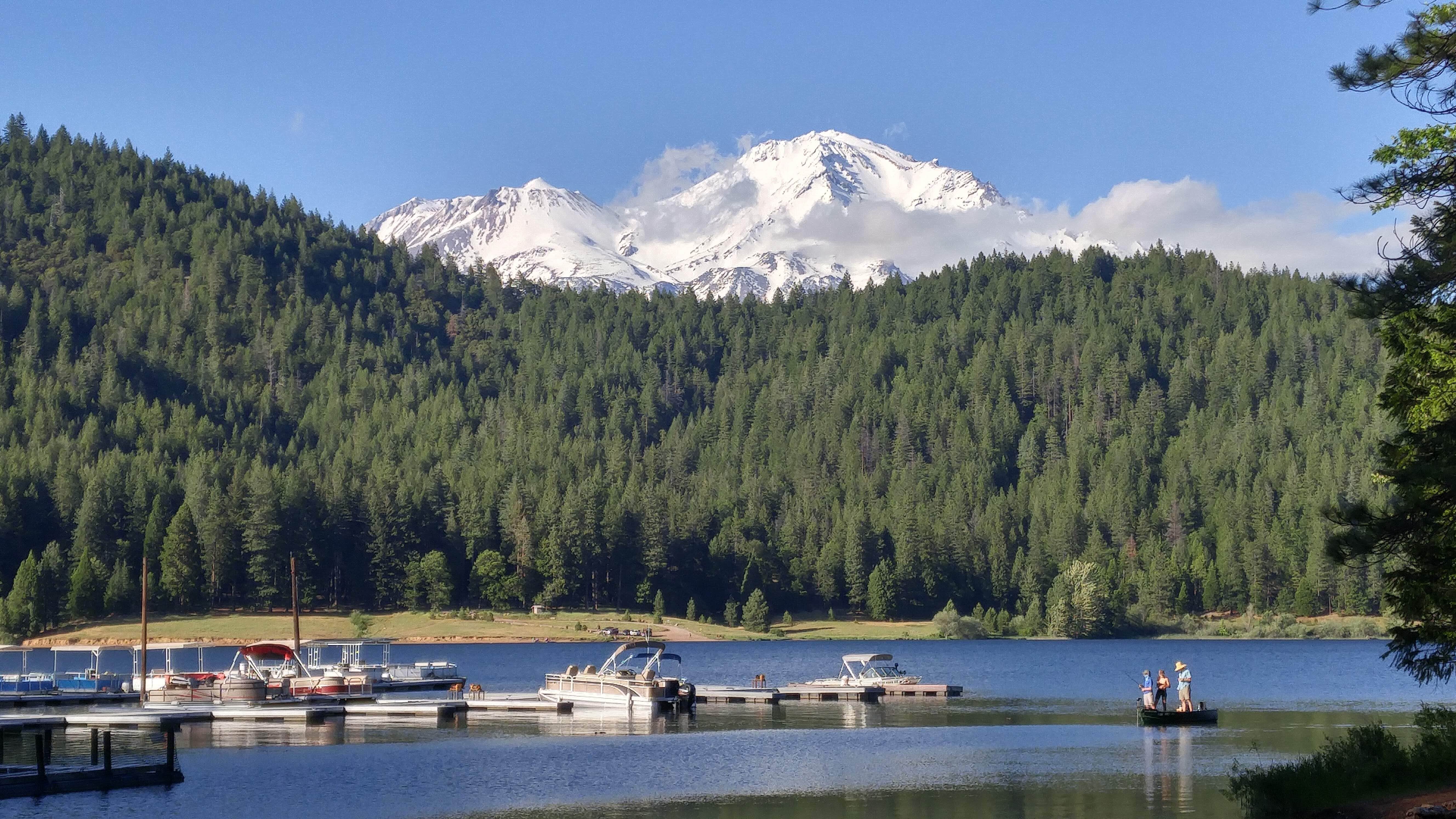Camper submitted image from Lake Siskiyou Camp Resort - 3