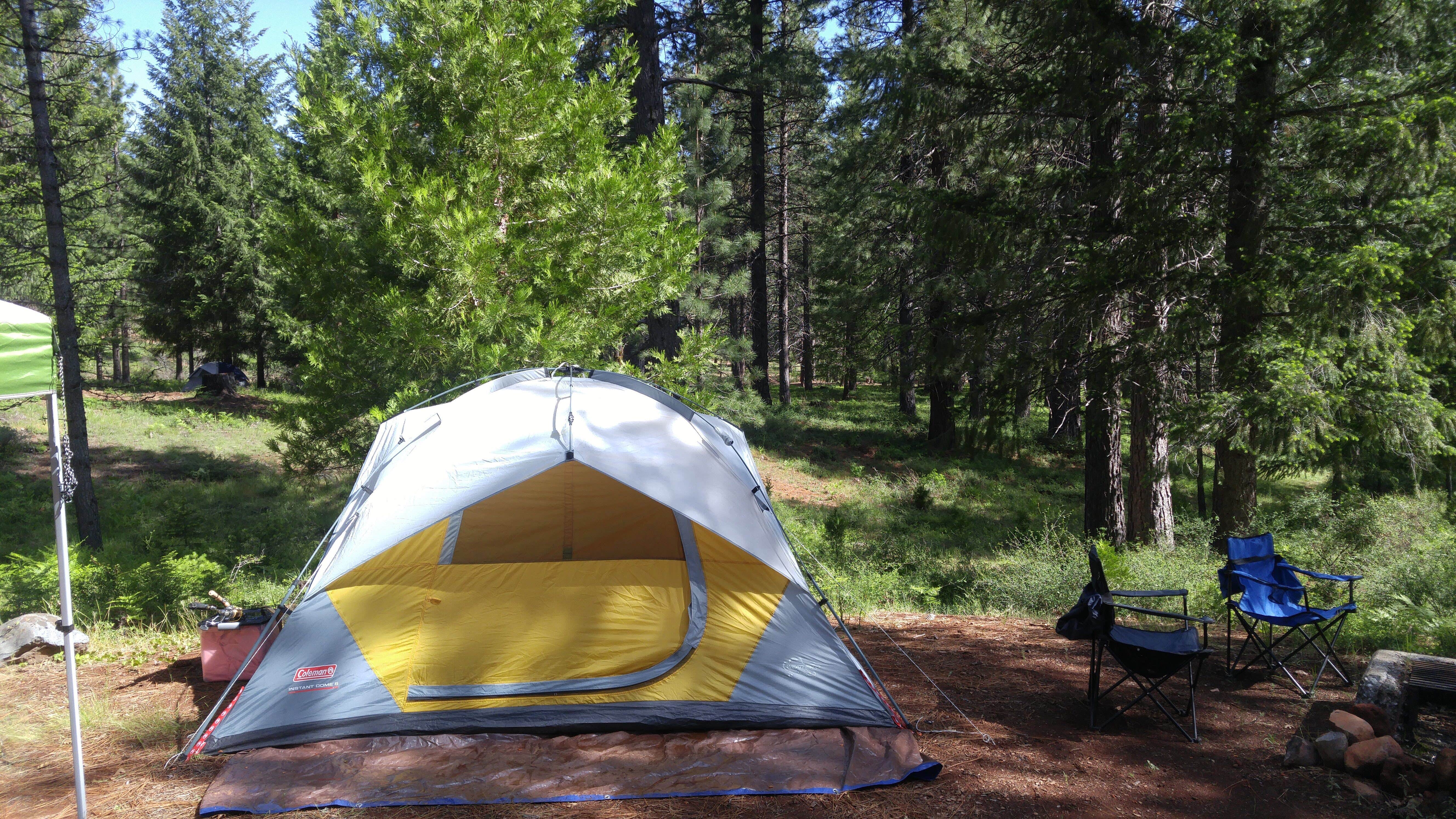 Camper submitted image from Lake Siskiyou Camp Resort - 4
