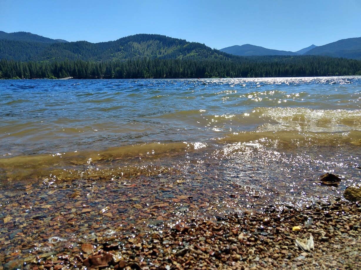 Camper submitted image from Lake Siskiyou Camp Resort - 5