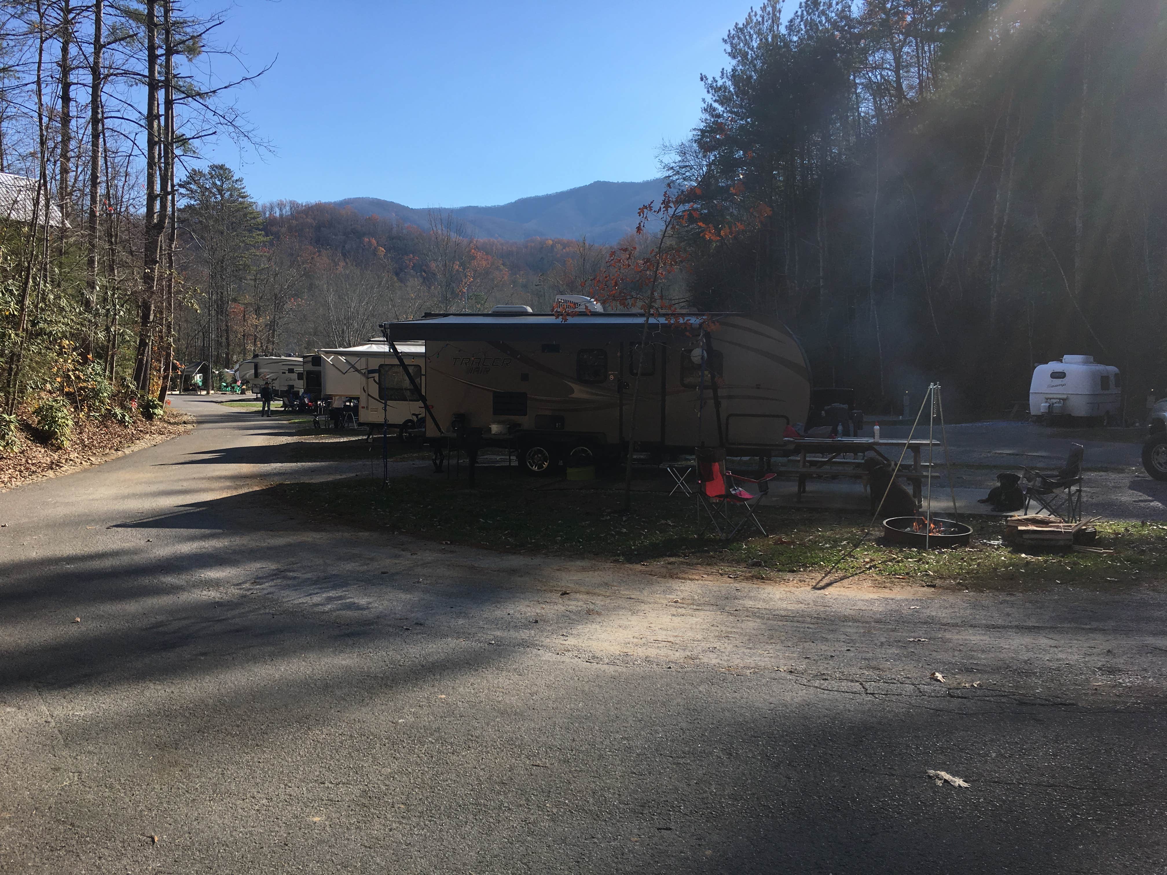 Camper submitted image from Camp LeConte Luxury Outdoor Resort - 4