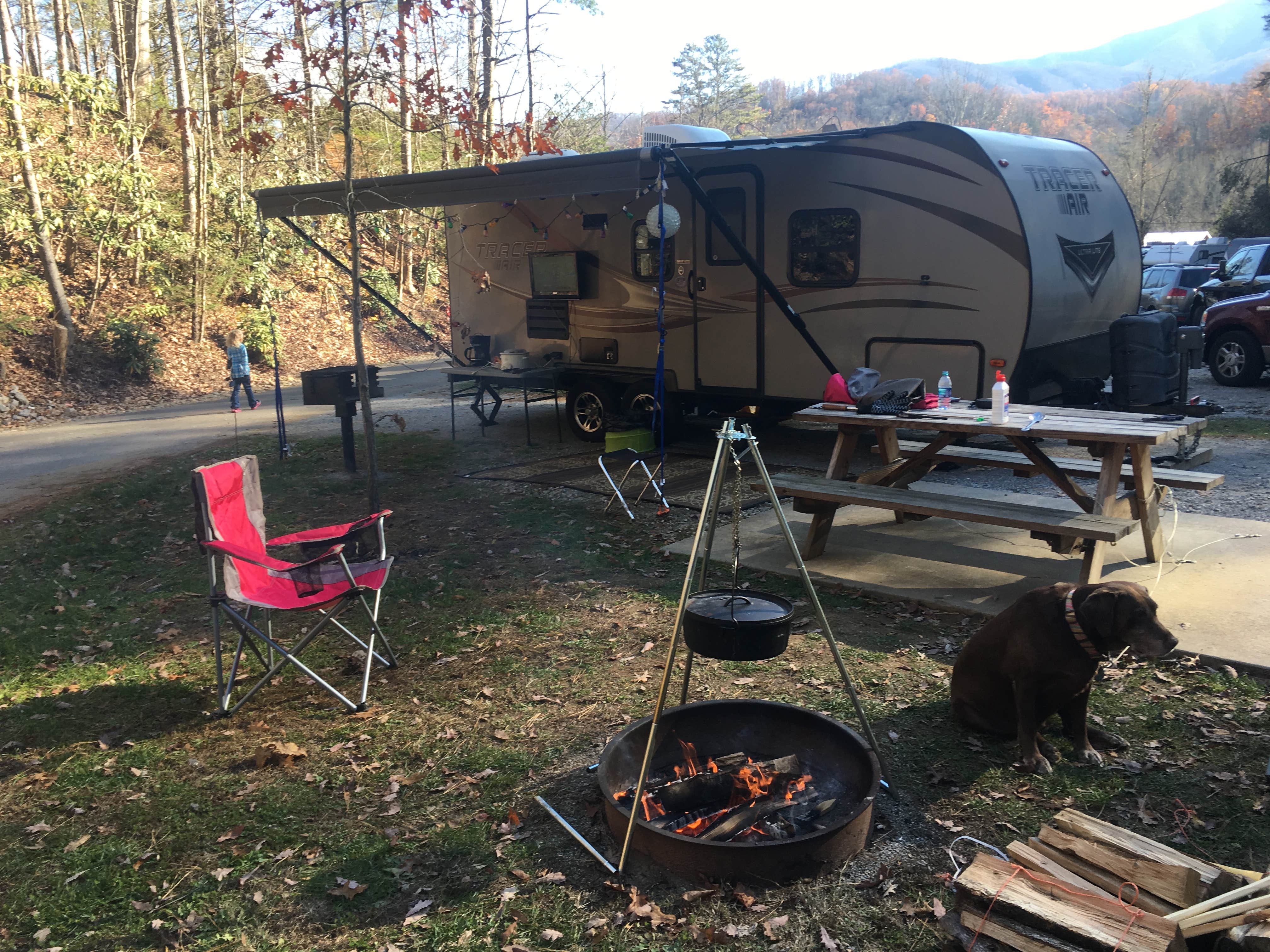 Camper submitted image from Camp LeConte Luxury Outdoor Resort - 3