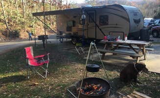 Karen D.'s photo of camping with pets at Camp LeConte Luxury Outdoor Resort near Great Smoky Mountains National Park