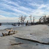 Review photo of Hunting Island State Park Campground by Tonya D., January 22, 2019