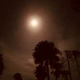 Review photo of Hunting Island State Park Campground by Tonya D., January 22, 2019