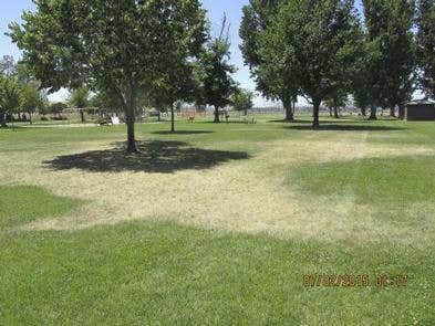 Camper-submitted photo at West Park (OR) near Prosser, WA