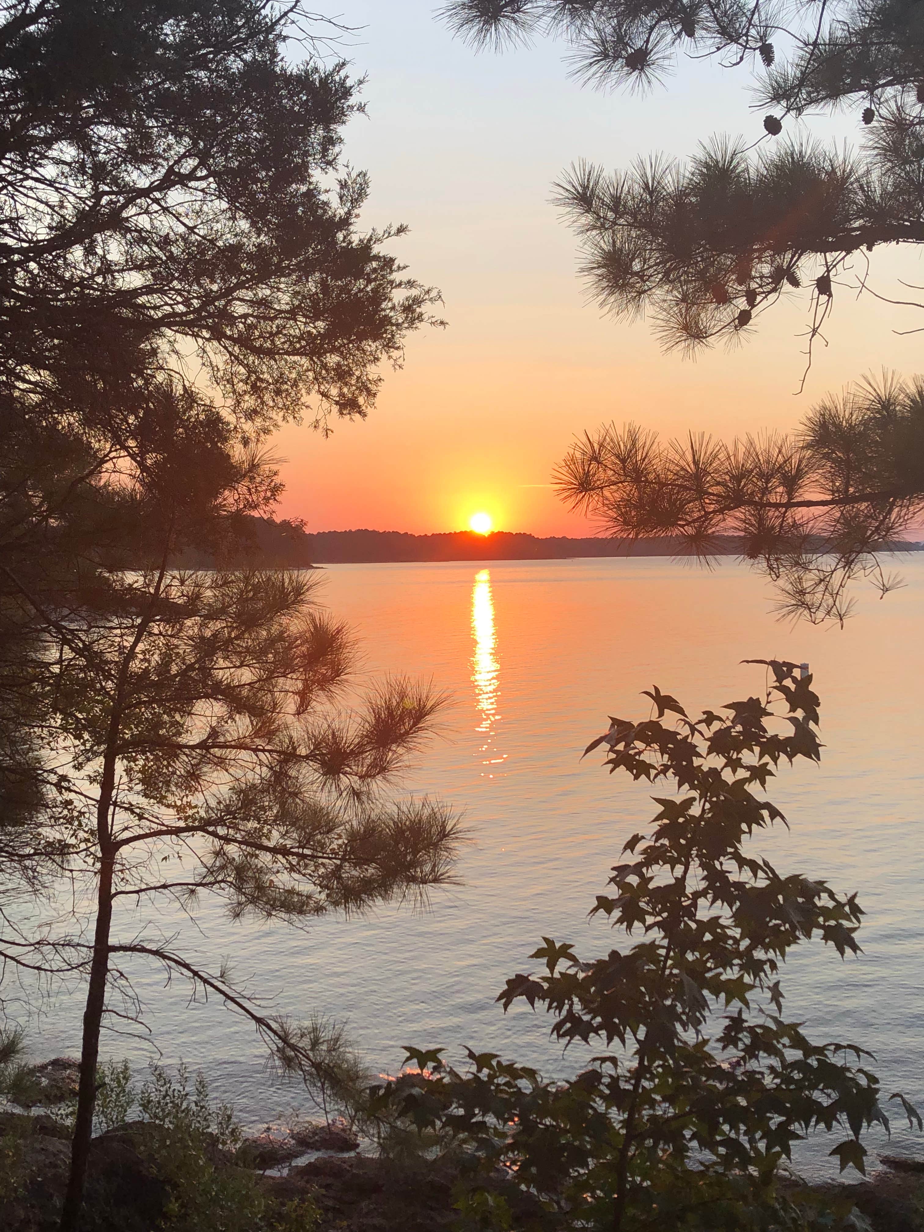 Camper-submitted photo at Ridge Road - J Strom Thurmond Lake near J. Strom Thurmond Lake